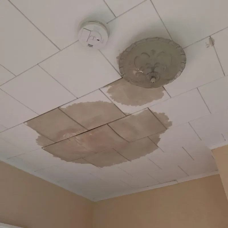 Ceiling Water Damage Repair in Fort Lee, VA