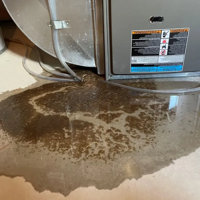 Pipe Burst and Leak Restoration in Fort Lee, VA