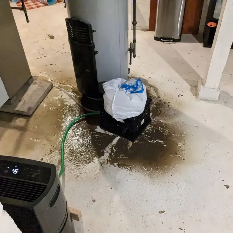 Sewage Backup Cleanup Service in Fort Lee, VA